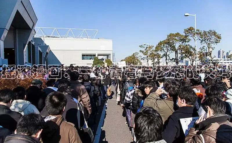 五一动画网页版