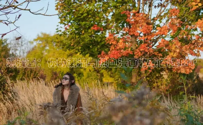 51动漫漫画免费登录入口