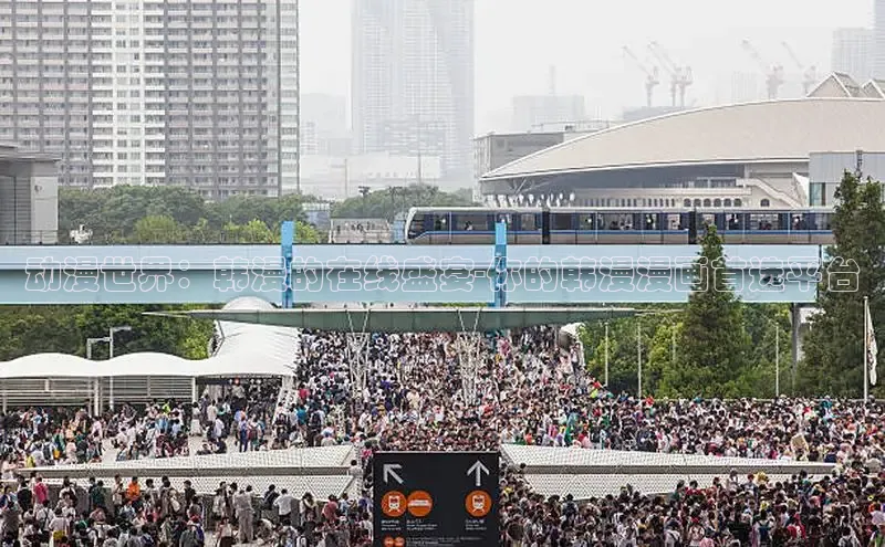 五一动画网页版